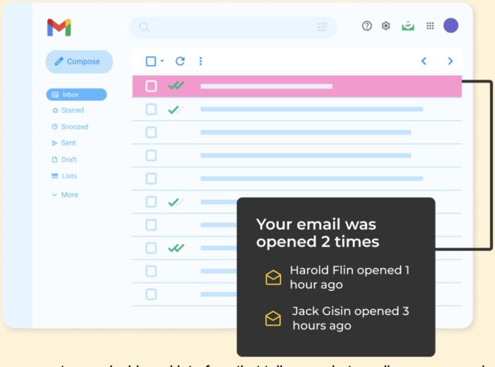 Mailsuite email tracker information.